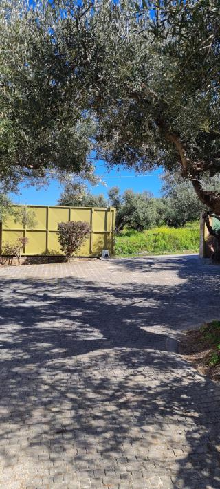 Chania villas kissamos villa euphoria path 23 hu 48bea4d190f7ac23.jpg