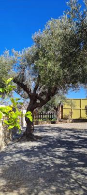 Chania villas kissamos villa euphoria path 24 hu6a1fbcb6aae6c61b2f12e7e7db00ee74 939245 0x400 resize q75 box.jpg