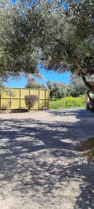 Chania villas kissamos villa happy flow 33 hu3dac768b404e5cf8316239bf89bd9ac5 1045370 320x0 resize q75 box.jpg