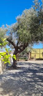 Chania villas kissamos villa happy flow 34 hu 31bdb2d8d88c68ff.jpg